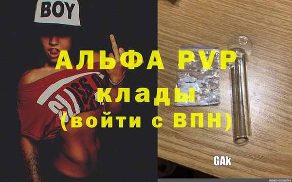прущие грибы Нязепетровск