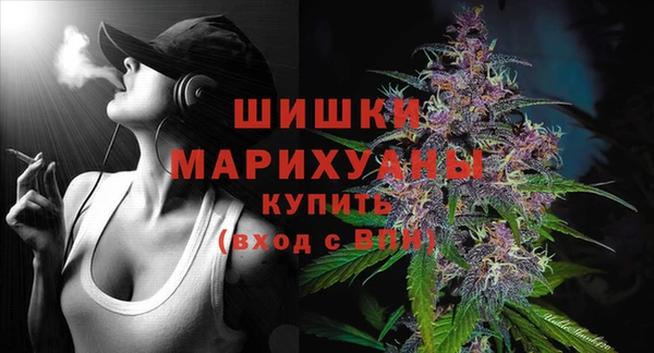 тгк Пересвет