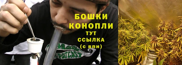 тгк Пересвет