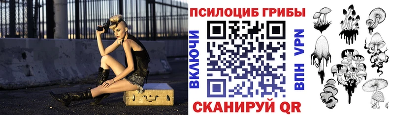 магазин Сорск Псилоцибиновые грибы Cubensis